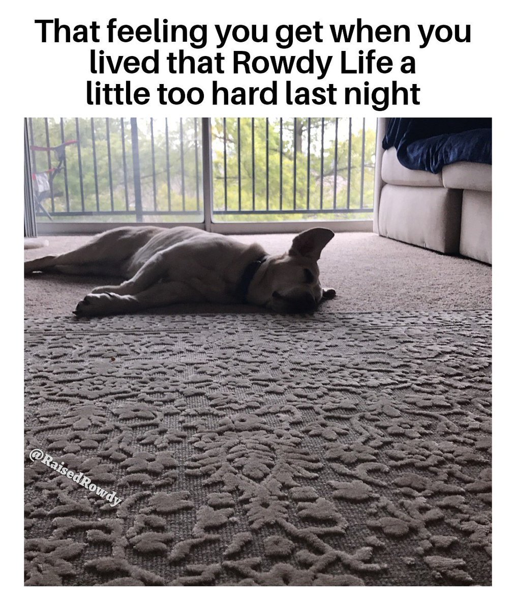 RaisedRowdy's tweet photo. It's a sunglasses and Tylenol kinda day #rowdylife #rowdytoohard #allthebeers #thegoodlife https://t.co/X9og4t7eID