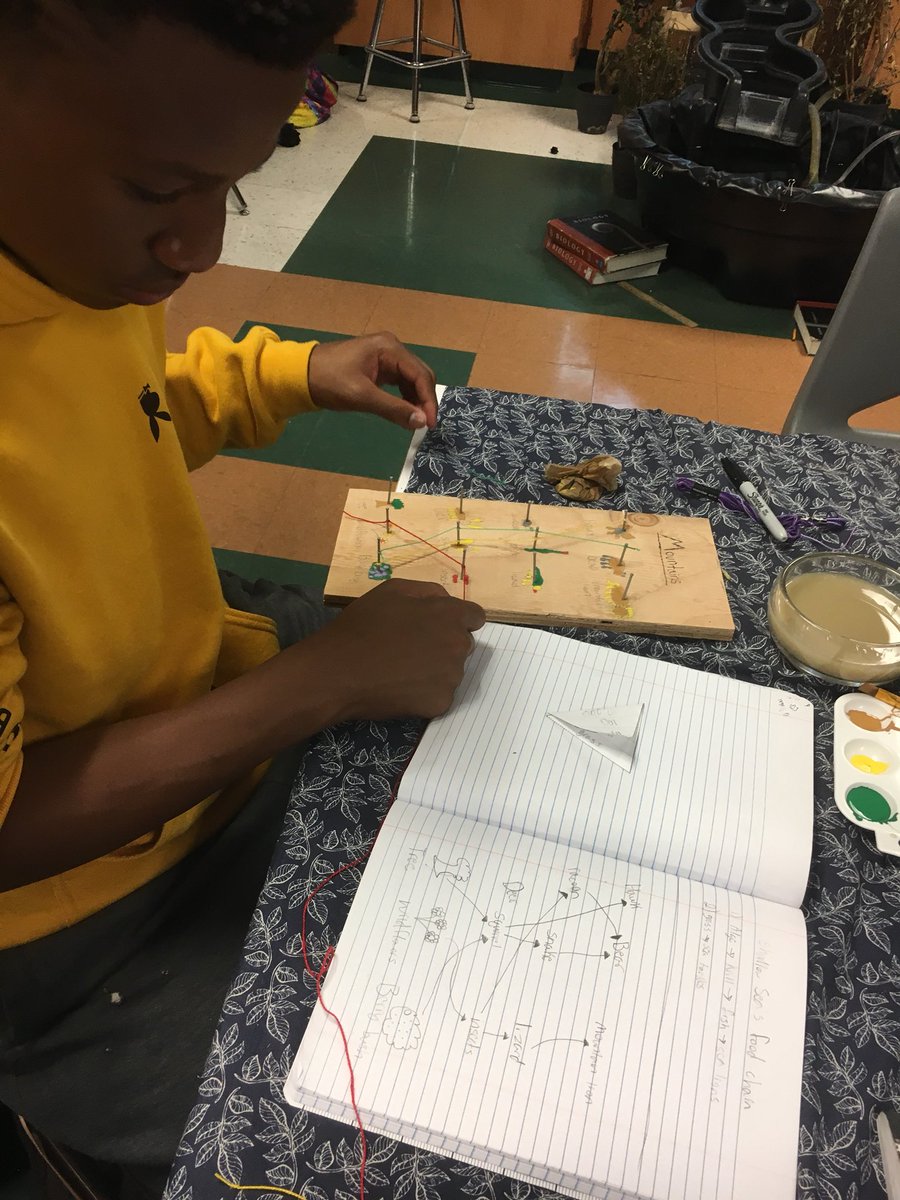 Super fun food web project with my 9th graders! Sand paper, hammers, nails, paint. It was a perfect day. #erhs #biology