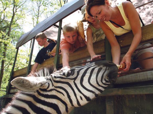 Have you visited the Catoctin Wildlife Preserve and Zoo? It's a great way to get up close and personal with the animals this summer. You might even learn a thing or two! buff.ly/2GaIsOZ