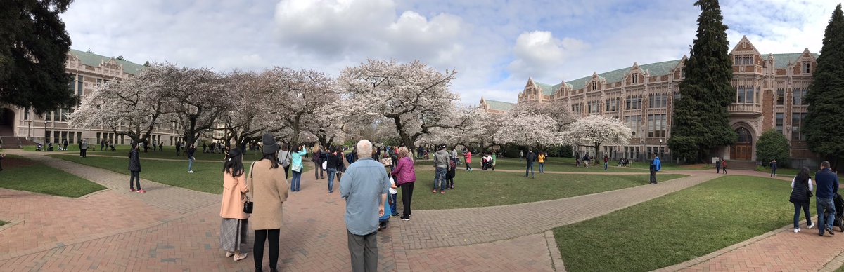 GeirPedersen's tweet image. Peak cherry blossom and ICES Working Group on Fisheries Acoustics Science and Technology Annual Meeting 2018 are history. Thanks to the University of Washington for organizing a great and productive meeting. #UW #ICES #NORCE