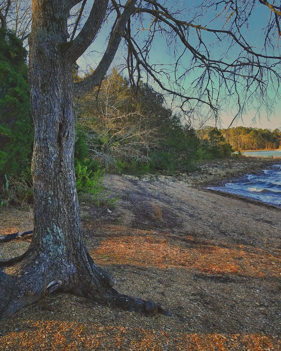 theswtgapeach28's tweet photo. #LakeThurmond #Applingga #exploregeorgia #NaturePhotography #Photography #nature #photo #photooftheday #outdoors #treeporn #beautiful #georgia #gagirl #backroadexploring #randomvisualawesomeness #peachypix https://t.co/VEAom9PRbB
