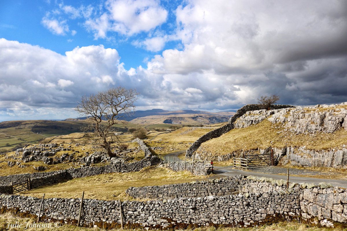 Winskill Stones ... this afternoon! 
#winskillstones #yorkshiredales #3peaks #ingleborough #landscapephotography #picoftheday #Settle #clouds #trees #drystonewalls #limestonepavement #lovelyview #northyorkshire #Fields  #5bargate #cattlegrid #walking