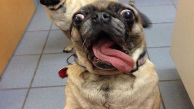 Waiting for the Swedish House Mafia like