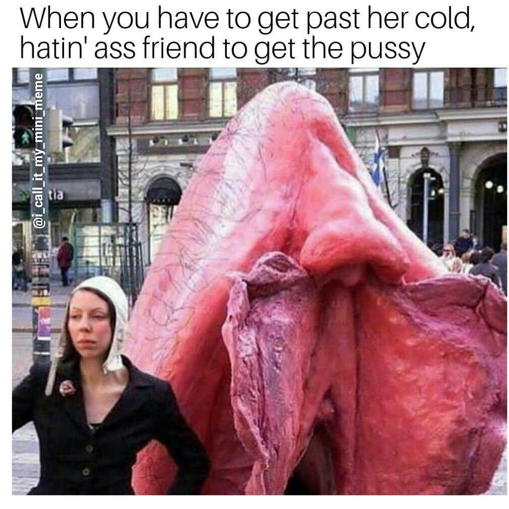 I Call It My Mini Meme on X: Dont you just hate that?! attheclub  cockblocker blocker meme bigpussy dougpowerz pussy true motherhen  bodyguard denmother hatersgonnahate bitch cold frigid  t.co4zGwSWkywT  X