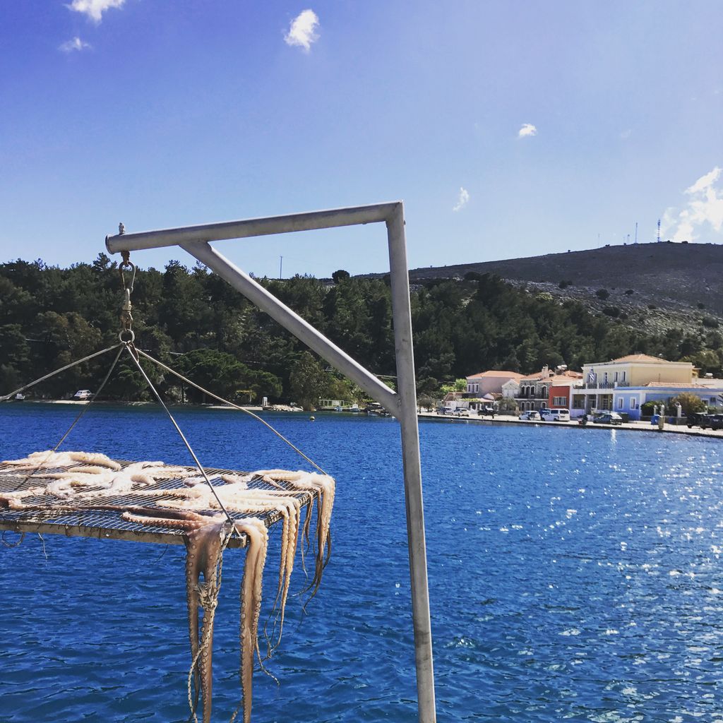 Listit came to life on an island in the Caribbean, so whenever we can we take the opportunity to get back to island life. What better time could there be to relax and play games after hanging out with some freshly caught octopus in the sun? 🐙☀️🏝🇬🇷
#ListitGame #ListitOnTour