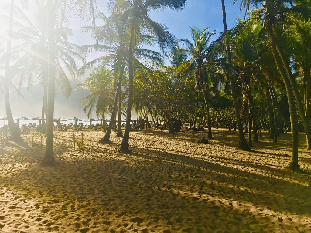elqueroo's tweet photo. No hay mayor obstáculo en la vida, que perder el día de hoy por estar esperando el de mañana...

[Playa Grande, Choroní, Aragua-Venezuela] https://t.co/Hd9s2VyPVL