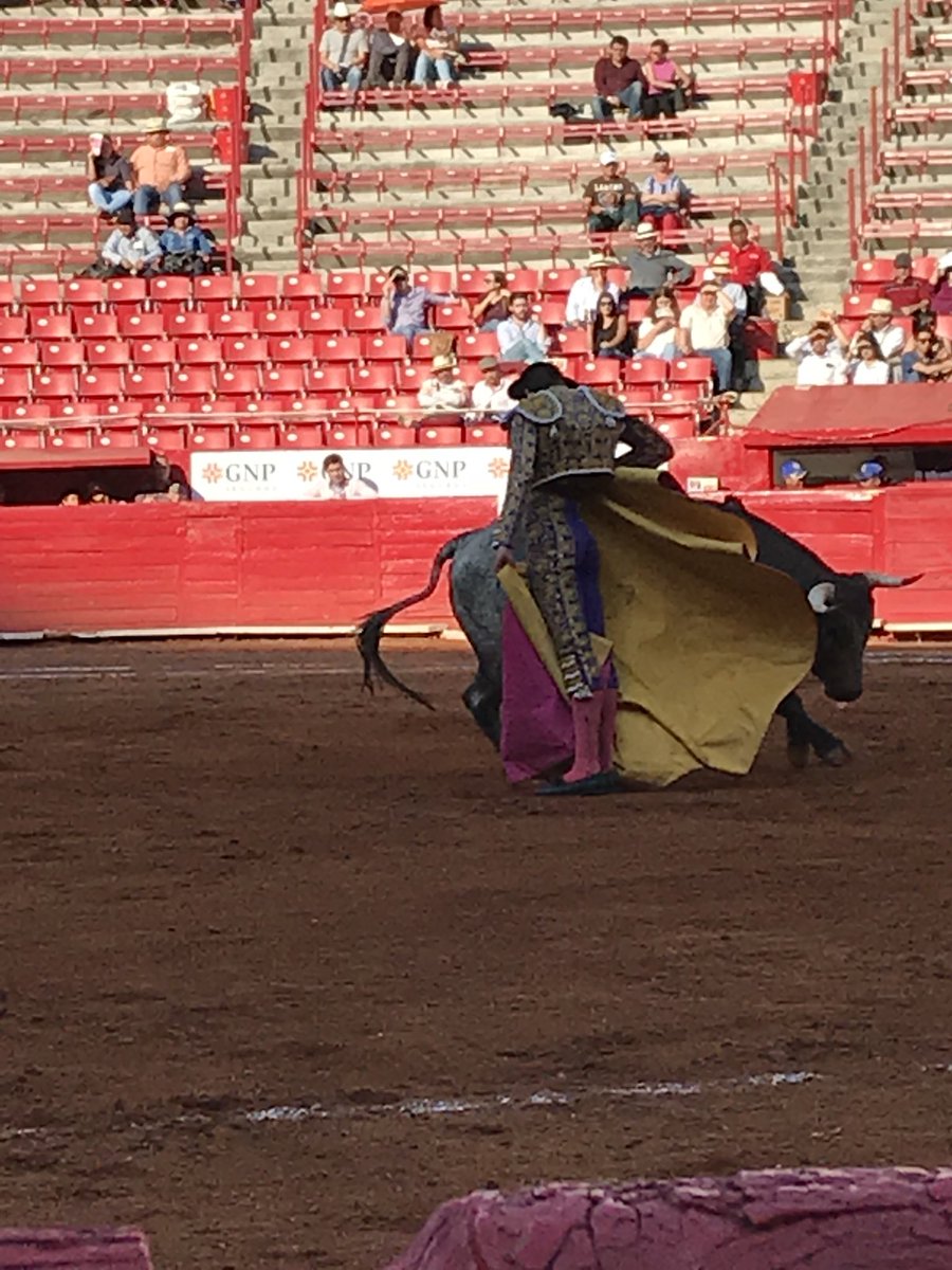 Hoy en <a href="/LaPlazaMexico/">La Plaza Mexico</a> 2o Novillo de <a href="/GSanConstantino/">San Constantino</a>, <a href="/JMarellano97/">Jose Miguel Arellano</a> Ovación tras petición. 🐂 Palmas al novillo en el arrastre