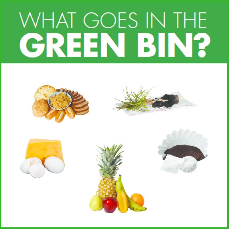 What Goes In The Green Bin