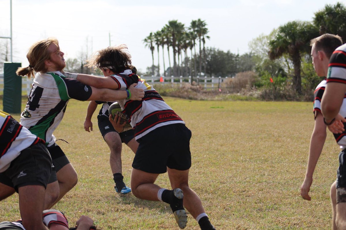 Marcelo Vilá tweet media