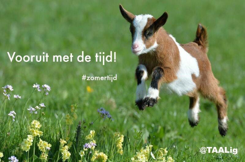 Zomertijd, altijd weer een lastig momentje... Even wennen aan het verschil, vooral als je er de aandacht op vestigt... 
Wij bekijken het positief: ‘s avonds is het langer licht, we krijgen er energie van en als team VVD Hardenberg maken we daar graag gebruik van!