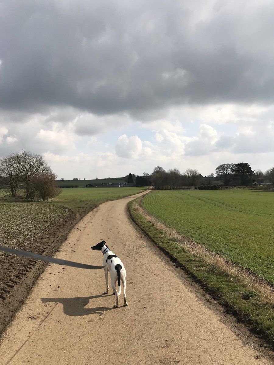 OxygenOxon's tweet photo. Me on foot v. them on bikes.... no chance! Tiny specks in the distance blowing away the winter cobwebs 🚴‍♀️🚴‍♀️🐾🚶‍♀️ #KidsOnBikes #SpringHasArrived https://t.co/eyIUhhFYst