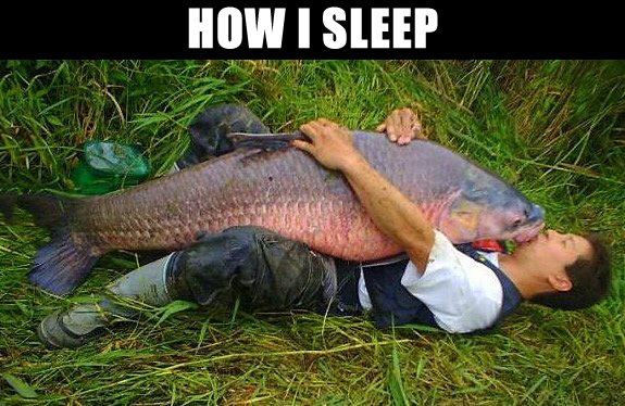 carpnbait's tweet photo. VERY TRUE! 😂😂😂#fishing #angling #sleep #carp #CARPology #sleeping #fishy #comedy #meme #funny #lols https://t.co/6PoF1UM8OR