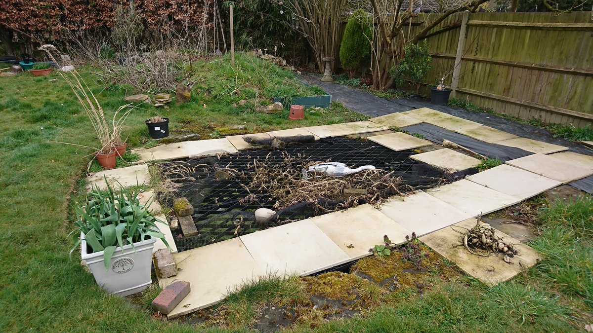 DanielSmith247's tweet photo. If you ever want a full body workout, just clean out your garden pond! #achingallover #tidyup #temporarymeasure https://t.co/785v4krlO7