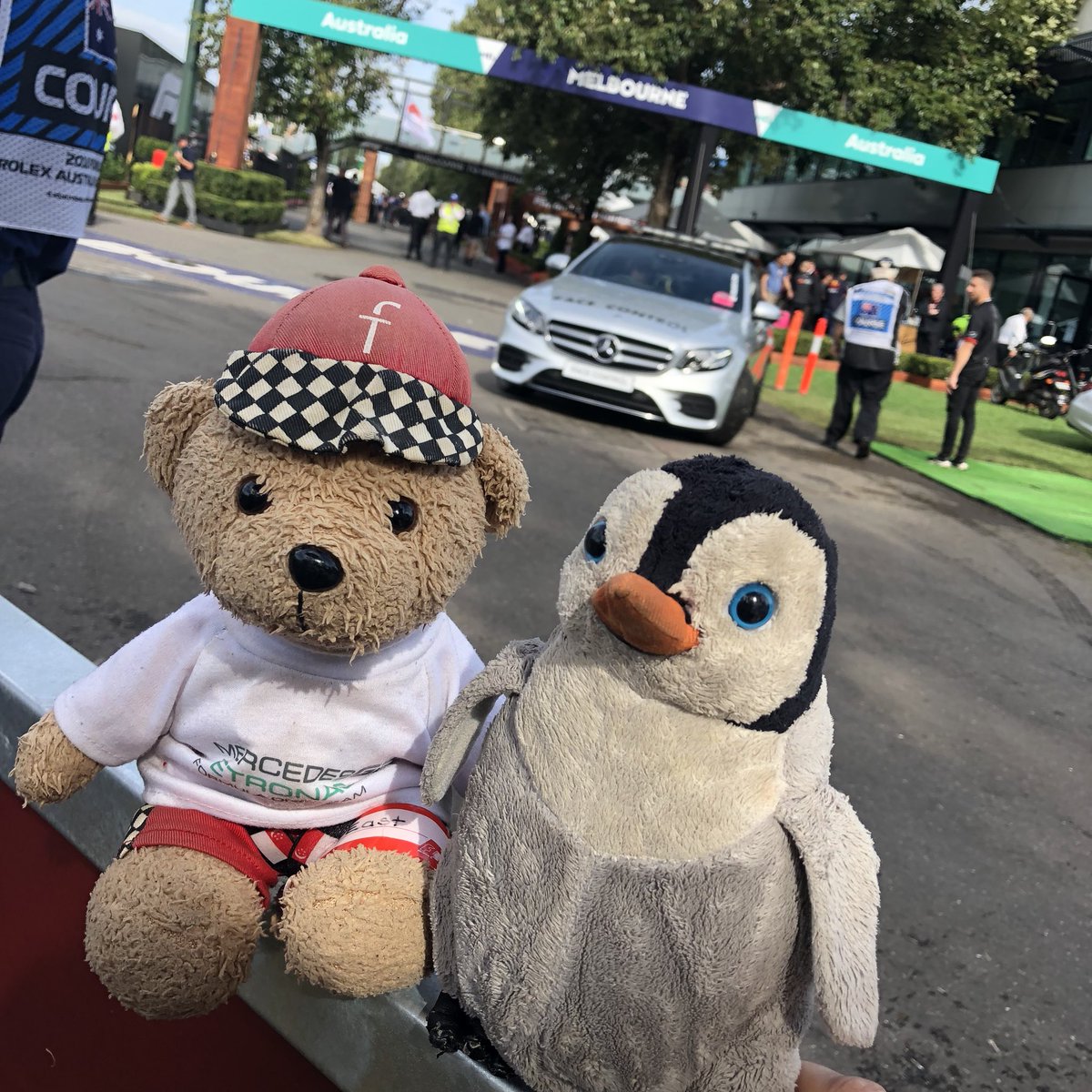 TimingPenguin's tweet photo. Amazing weekend at the @ausgrandprix. Great to catch up with @east_f1! https://t.co/9h7rM5brsy