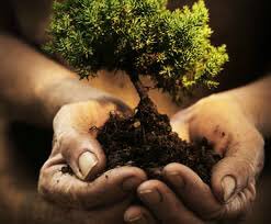 Octavi Rodriguez ⚕️🚑 📲 tweet media