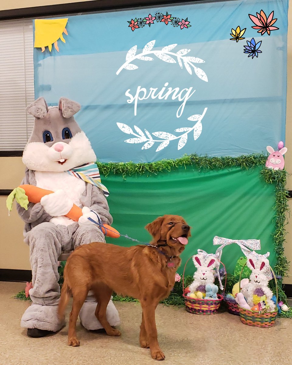 MantecaPetsmart's tweet photo. The Easter bunny is at Manteca PetSmart! He's here until 4pm today! Come in for our free photo op! #PetSmartEvents #easter #Easter2018 #petsmart1601 #manteca #mantecaca #mantecacalifornia https://t.co/cZZsJFcbcS