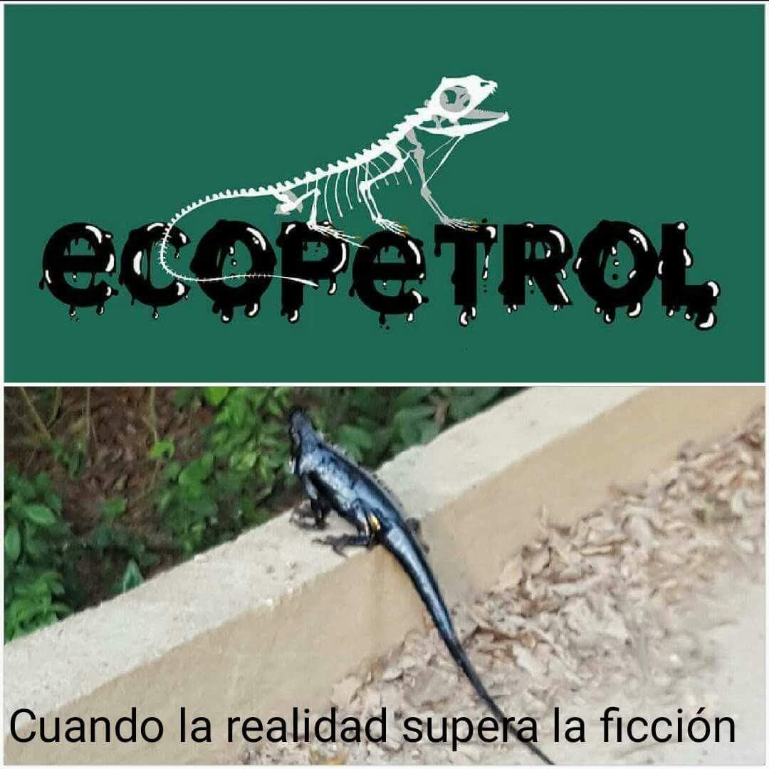 YANOHAYPALABRA's tweet photo. #MinAmbienteRenuncie tanta fauna, tanta agua, tanta naturaleza dañada y @CanalRCN y @CaracolTV  se hacen los locos https://t.co/bq2R8NrfIN