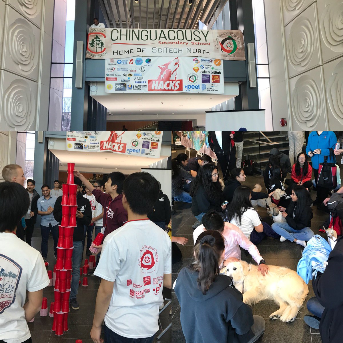 PLoiLam's tweet photo. .@WolfHacks18 at #bramptontechtown with cup stacking and therapy dogs to lift the stress as we get nearer to Smart City project deadlines.
.@PeelSchools https://t.co/39JIaHFC9j