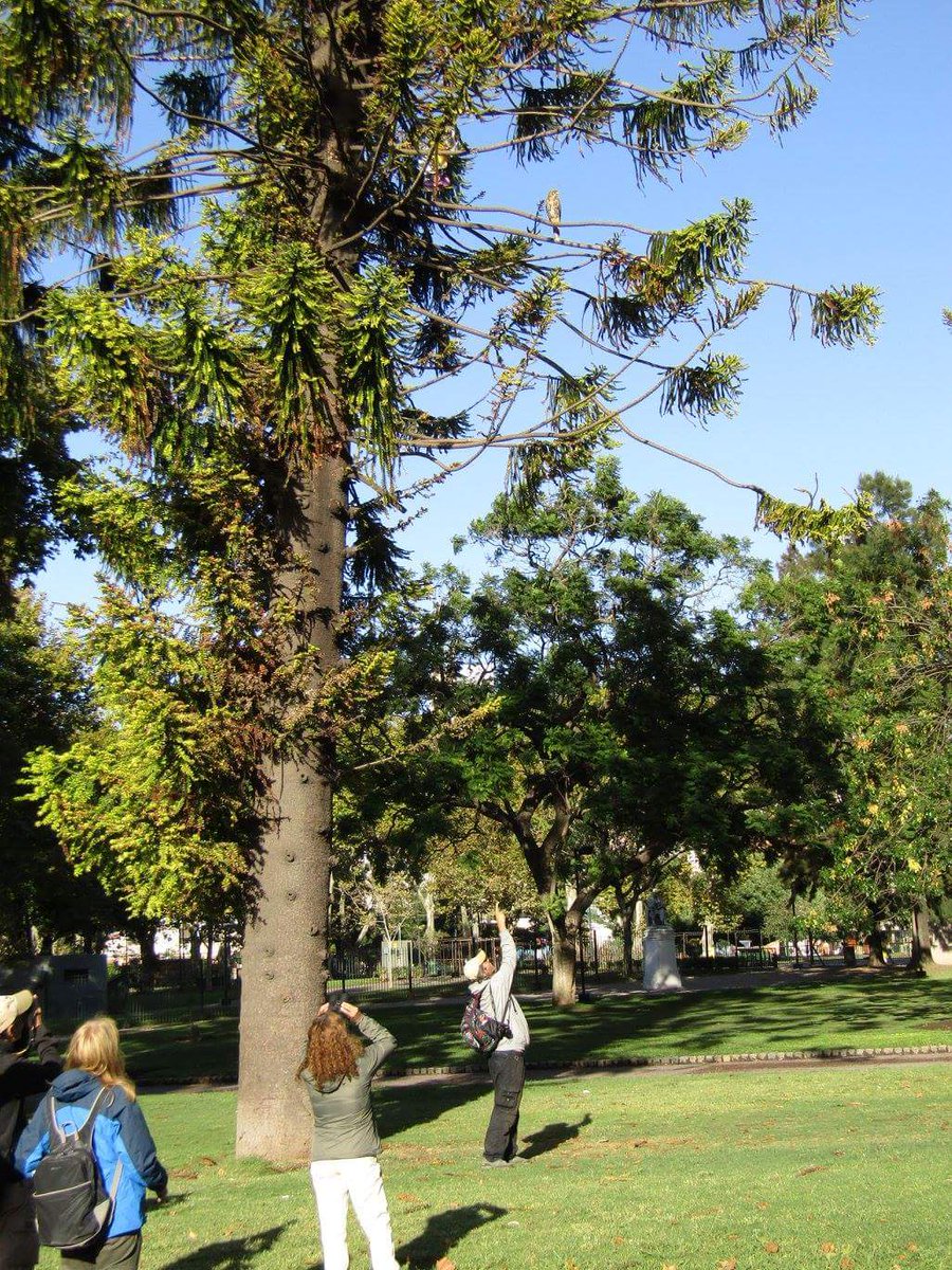 Ezequiel Vera tweet media