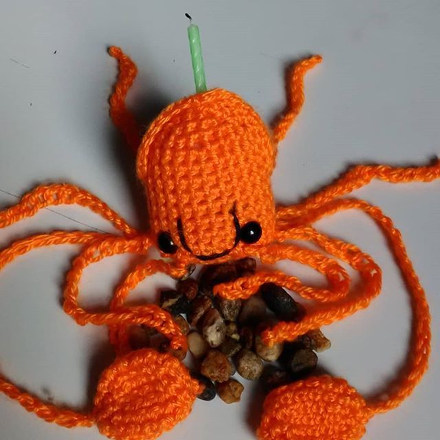 MVaillette's tweet photo. Apparently squid build nests. #one #happy #squid https://t.co/s9jURq5NKL