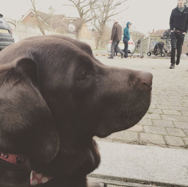 Jodie_Woodall's tweet photo. Oh hey doggie, you’re my favourite customer
#InnocentCandy #film #dog #gooddog #scriptsupervisor https://t.co/tr5GKOAFjW