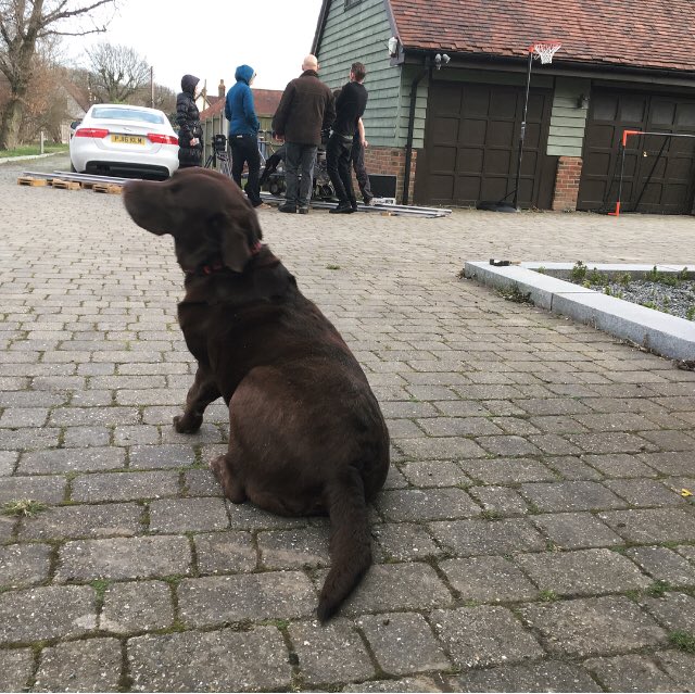 Jodie_Woodall's tweet photo. Oh hey doggie, you’re my favourite customer
#InnocentCandy #film #dog #gooddog #scriptsupervisor https://t.co/tr5GKOAFjW