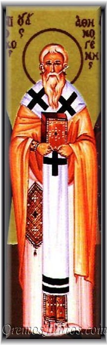 San Pedro Sebaste Obispo Mar | ✝️Santoral Católico | Scoopnest
