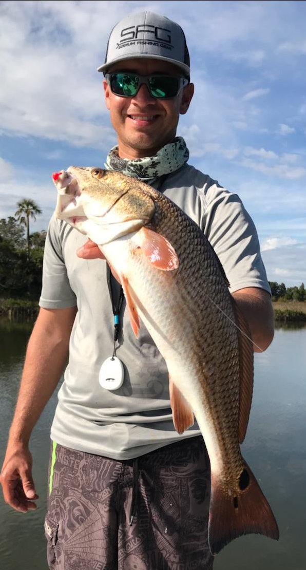HookupLures's tweet photo. That's a pretty #redfish from #CitrusCounty!
#inshore #fishing #HookupLures https://t.co/bWLvvfKPzo