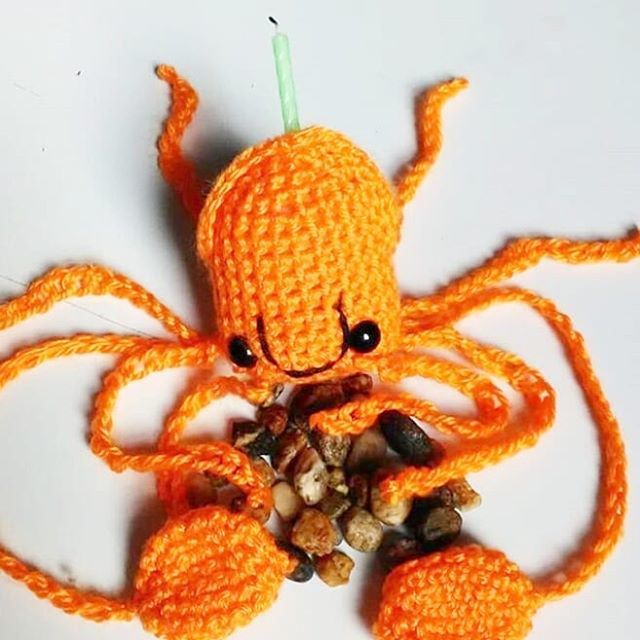 MVaillette's tweet photo. #One #happy #squid ... is it a nest, or a wagon? And what is the next step if one does not have feet? I don't really know much—about squid, myself, or I'd give advice. #happiness #patience https://t.co/iwuVSwovyq