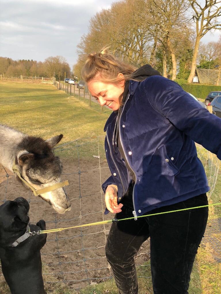 Er was een buldog. Er was een (geschoren) alpaca. Het was een mooie dag.