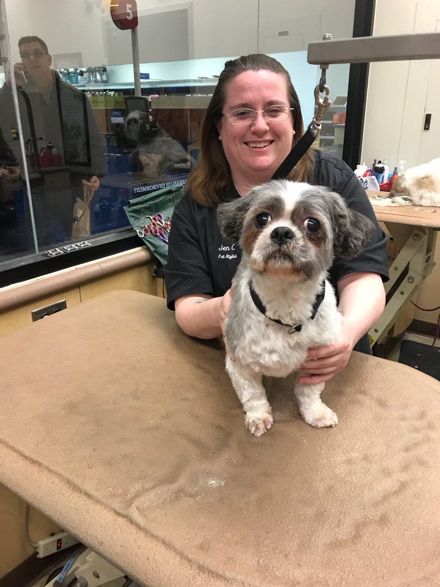 Gizmo got his #makeover today by Jen! #northeastgrooming #enj #0576