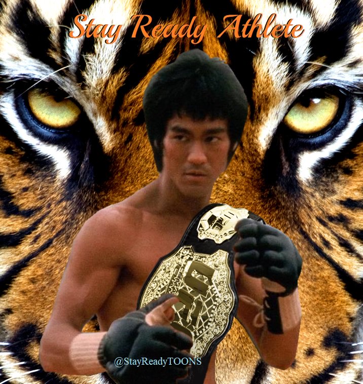Buy Cheap bruce lee vs tiger,up to 59 