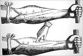 From Harvey’s famous book. “De Motu Cordis”. Published 1628