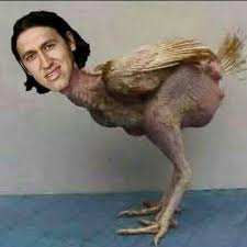 Prato do dia: galinha depenada.