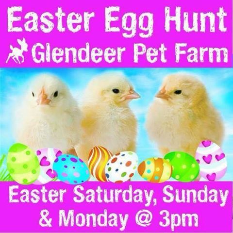 roscommonie's tweet photo. Easter egg hunt at @GlendeerPetFarm Easter Saturday 31st, Sunday 1st and Monday 2nd at 3 pm each day. #easterfun #EasterEggHunt https://t.co/OYmw85aaPZ