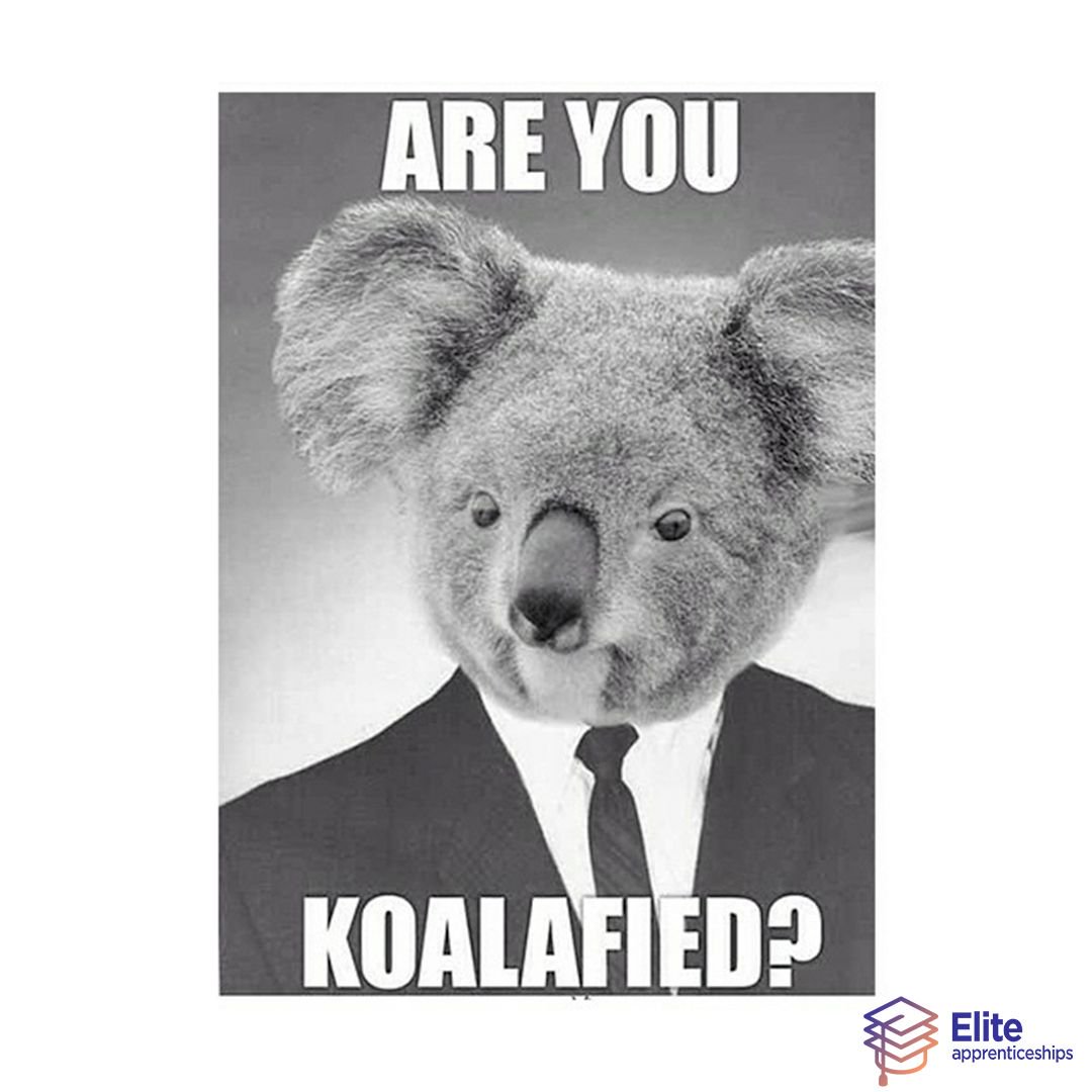 EliteApprentice's tweet image. 