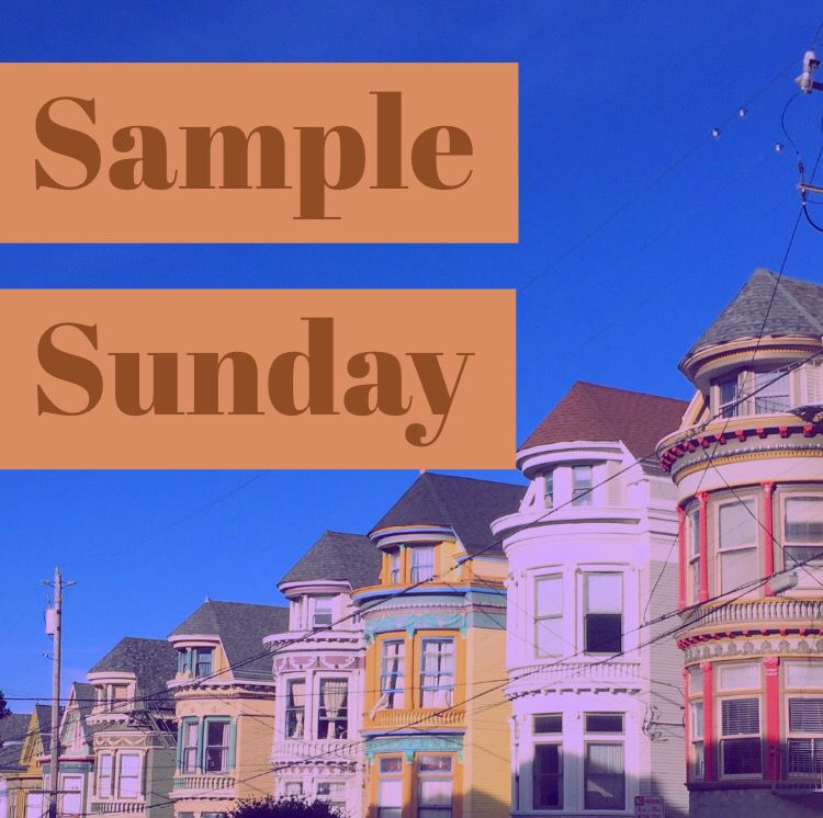 Sheep Productions tweet media