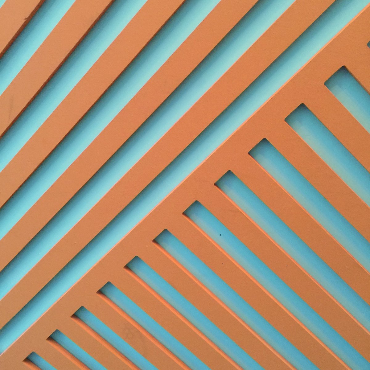 lilytaylor's tweet image. Zine Fest at #TopTenRecords We've been rocking music all day long and checking out everybody's zines!!!! 338 W. Jefferson Blvd. #oakcliff #oldestrecordstoreindallas #howtodallas