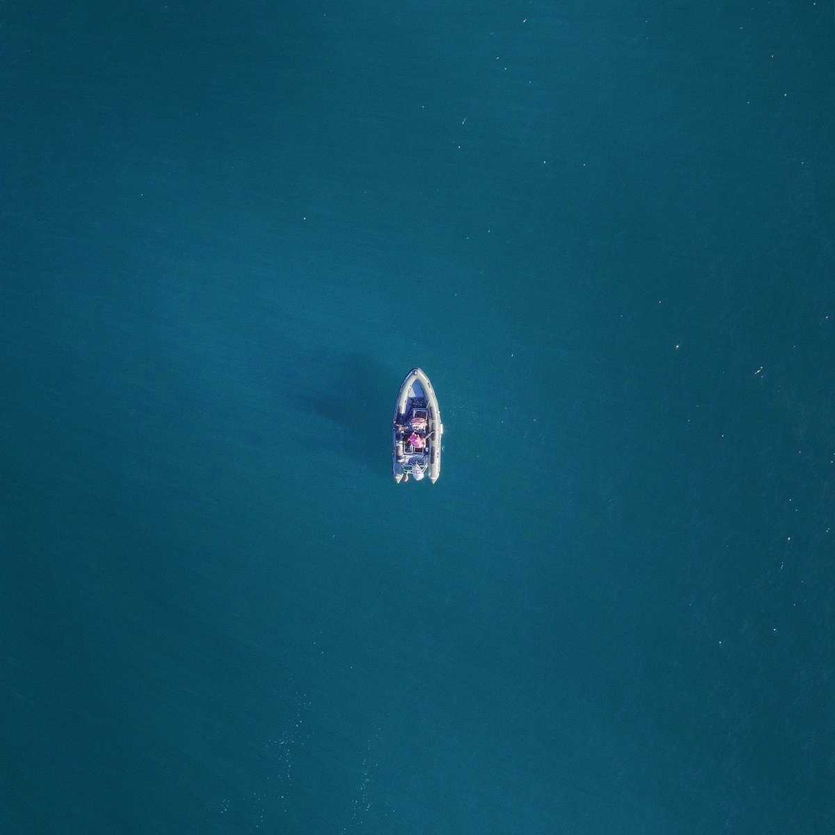 SnackBuckWild's tweet photo. If you had to escape the mainland (plague of zombies) and could bring only Buck Wild, water, and one other beverage of your choice, what would you bring? https://t.co/bSpisDX2y1