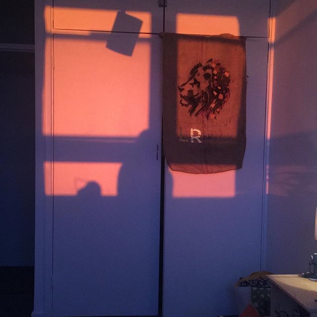 LydiaRose_Music's tweet photo. The sunset was beautiful, but the light it created was just 💖#nofilter #perfectcreation https://t.co/gZBi2ODMrS https://t.co/IEeuFqii4F