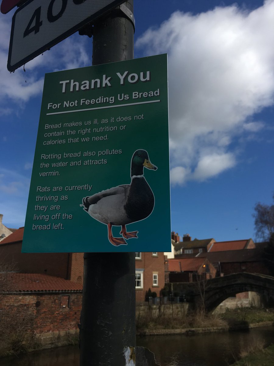 LevensideAssoc's tweet photo. Who has spotted this new sign on #Levenside? Do you think anyone is reading it?! #nobreadforducks 🦆🐥#stokesley https://t.co/dYTNob4QXJ