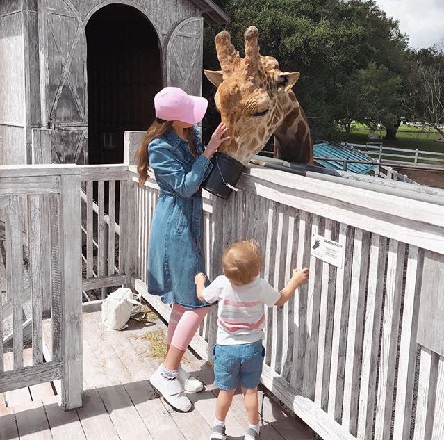 freddietommoBr's tweet photo. Freddie and Mommy em Sanddlerock Ranch,Malibu. 💚 https://t.co/RJc8qAUFzc
