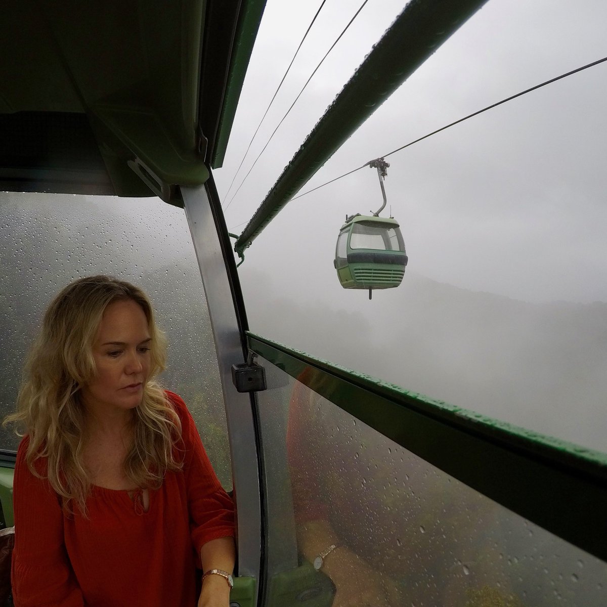winchandunwind's tweet photo. Yesterday we got to Explore the oldest tropical rainforest on Earth, right here in our hometown, Cairns. The @SkyrailCairns experience was epic in this Wet Season rain🙌🏼🍃🐍🦋 #ExploreTNQ @Queensland https://t.co/nG1kmucj31