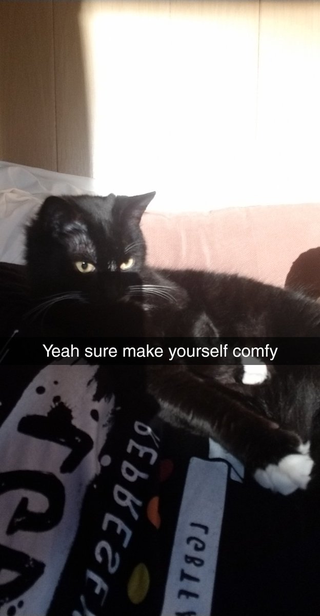 Hannah Gumbs tweet media