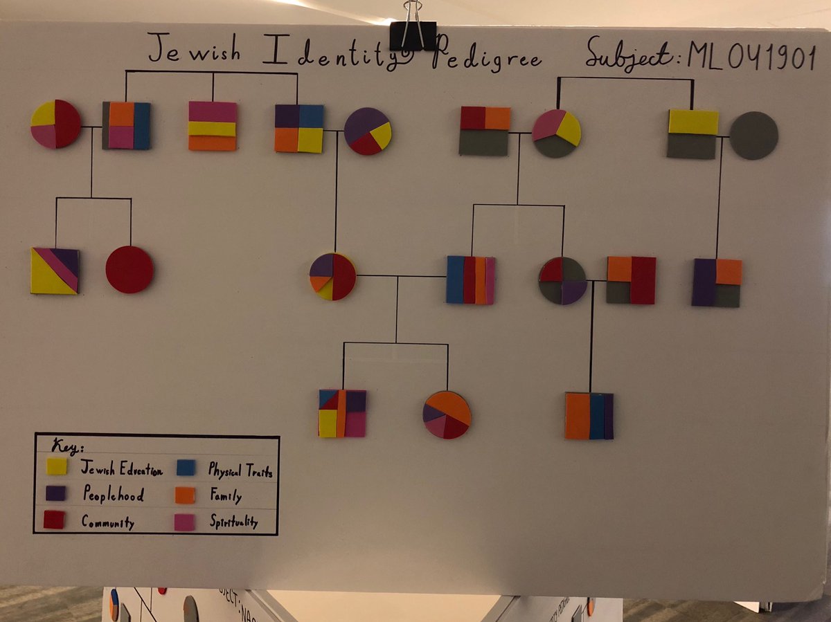 rabbiruben's tweet photo. Proud to be @Jewseum opening of #WhatWeHold youth voices on roots featuring @jchsofthebay. Here's example Jewish identity pedigree work on display from @jchsofthebay #EVERlab 11th graders https://t.co/ULS8K3QisK