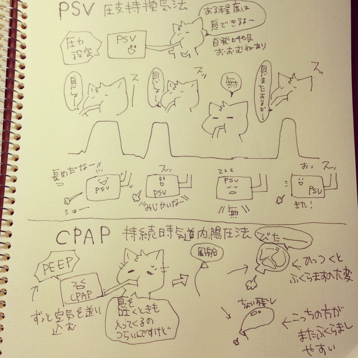 看護師のかげさん イラスト看護帖書籍化 人工呼吸器 はなぜかこんな感じに落書き帳の勉強絵なので勉強会に流用できん 当時の自分を殴りたい 二層性陽圧換気を含め人工呼吸器こそビジュアルによる説明が有効的なのだ 原稿もあるのでこの勉強会のために