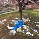 綺麗な桜の木が泣いている!絶対に許さないお花見後の悲しい光景!