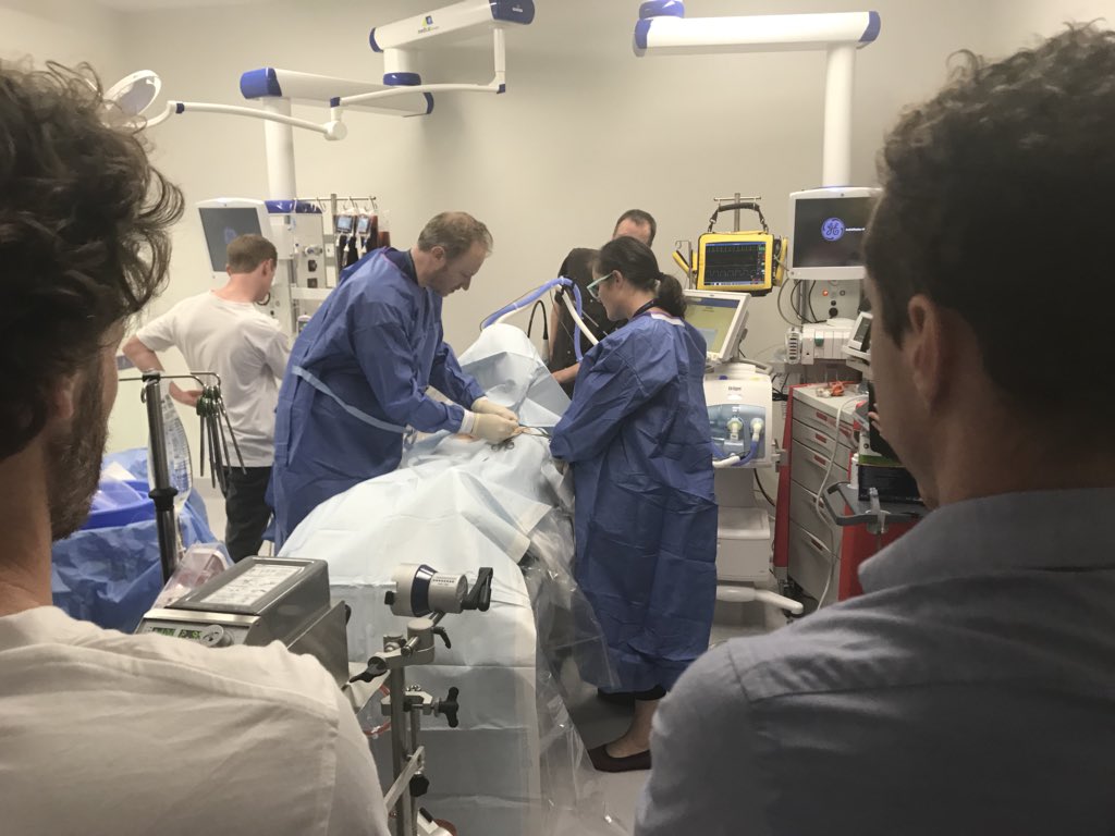 RMH ICU (@rmhicu) on Twitter photo The <a href="/learnECMOteam/">learnECMOteam</a> team is in town. Great workshops with <a href="/PmccCrit/">Pete McCanny</a> <a href="/GomorraDoc/">Sean Scott</a> and @Falconzao #firstinlearning The <a href="/learnECMOteam/">learnECMOteam</a> team is in town. Great workshops with <a href="/PmccCrit/">Pete McCanny</a> <a href="/GomorraDoc/">Sean Scott</a> and @Falconzao #firstinlearning
