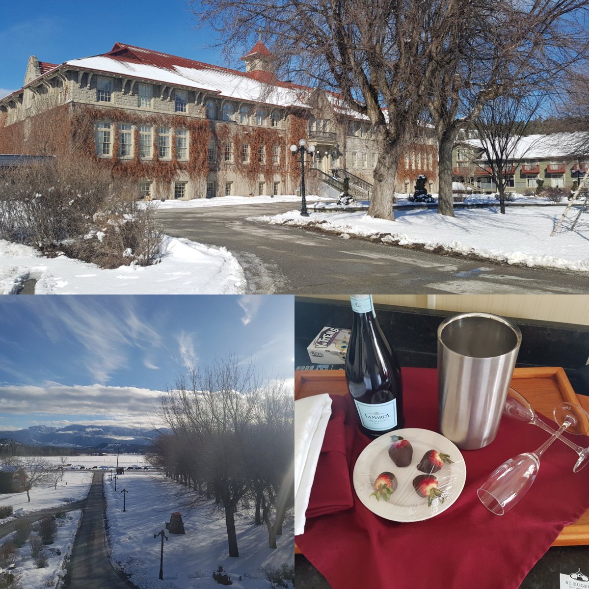 BelHart85's tweet photo. If you haven't checked out this gem in the #eastkootenays then you need to! #romancepackage #casinopackage #3rdweddinganniversary #bcrockies #explorebc #excellentfood β #friendlystaff β #excellenttime β https://t.co/A8DPNP5izv