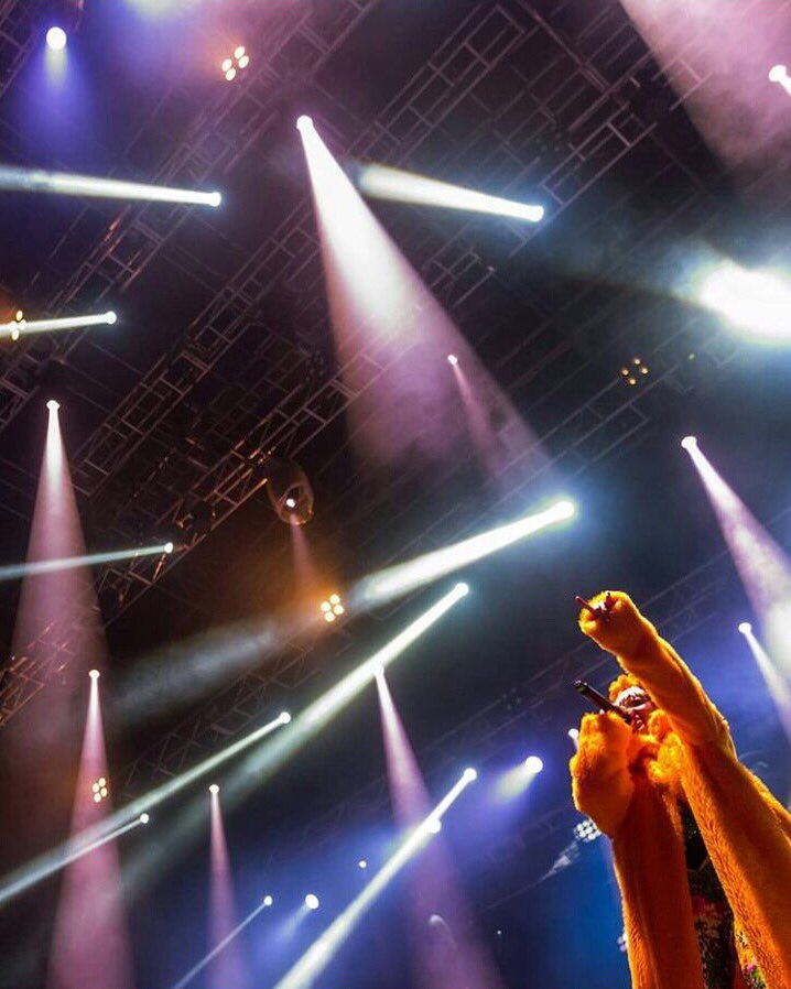 Bomba Estéreo tweet media